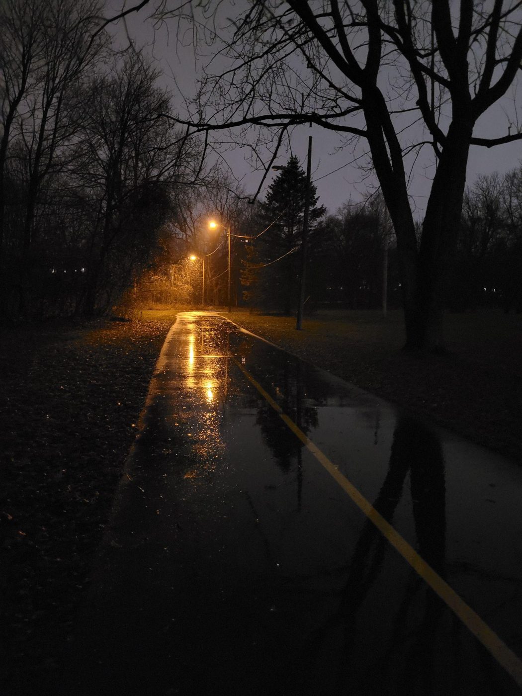 Rain-soaked park path under a single streetlight at night